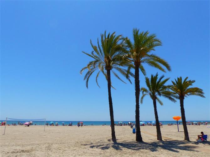 Apartamento En El Centro De Elche Con Terraza La Alborada 外观 照片